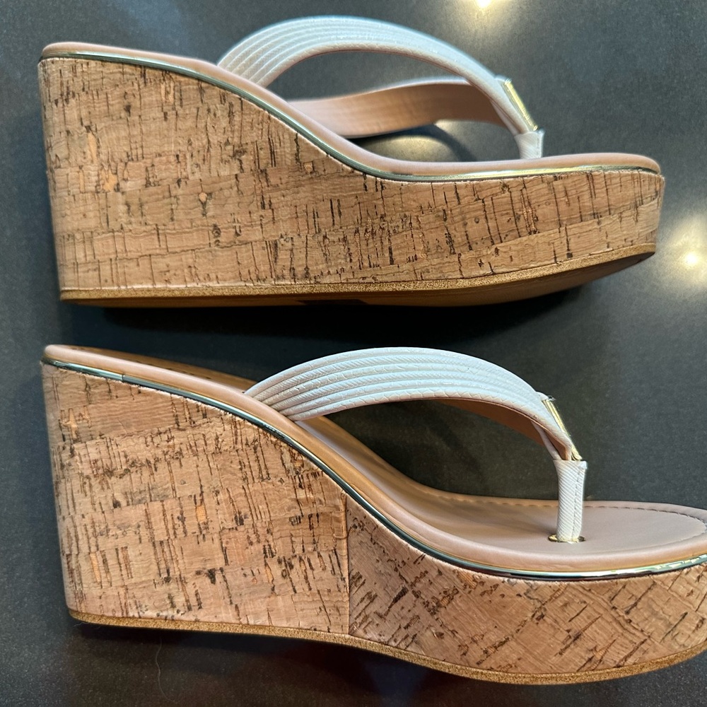ALDO Capricchia Wedge Sandal